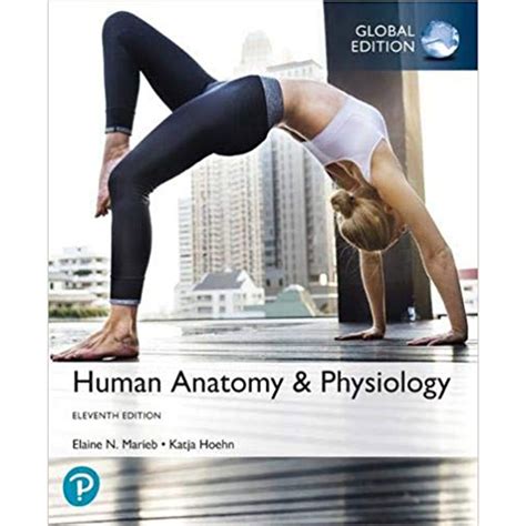 human anatomy and physiology 11th edition pdf|marieb and hoehn 11th edition.